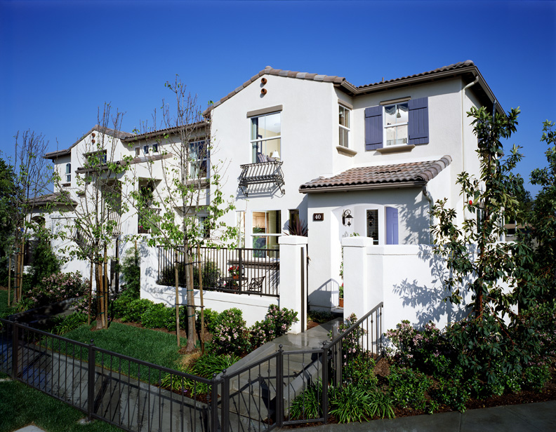 Tamarisk_Community2