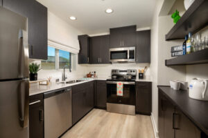 GS_Vello_Crossings_Ph_I_One_Bed_Kitchen